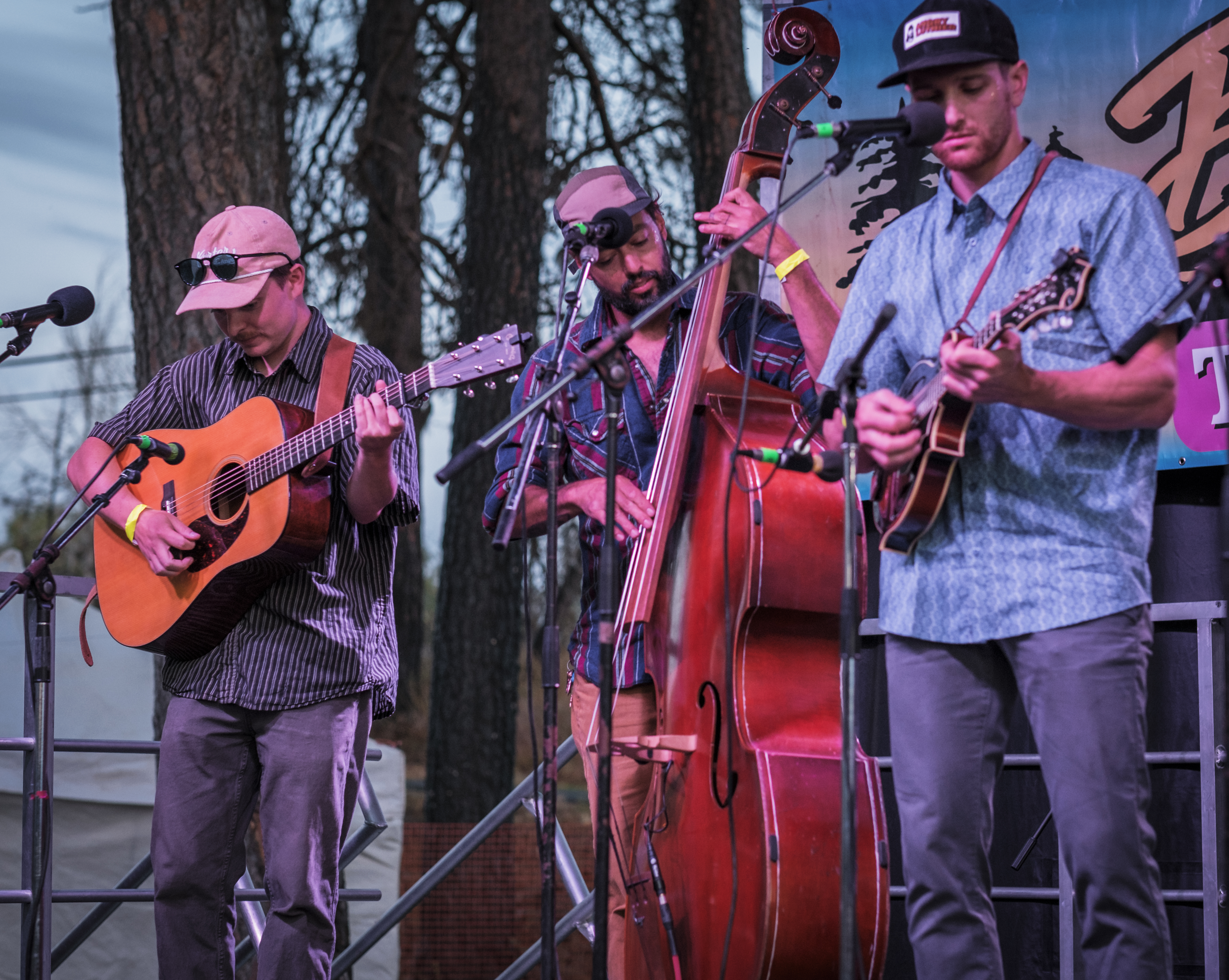 BluePoint2025-08-08BlueWatersBluegrassFestivalMedicalLakeWA (1).jpg